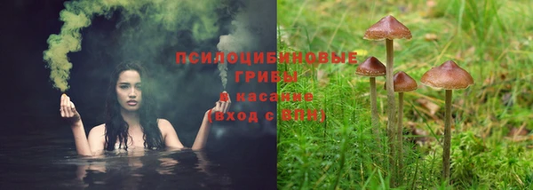 индика Балабаново