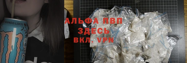 индика Балабаново
