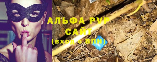 индика Балабаново