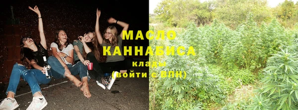 индика Балабаново