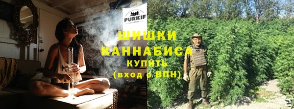 индика Балабаново