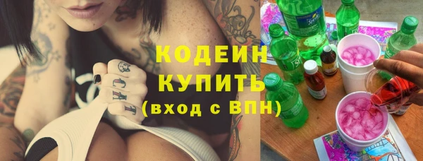 индика Балабаново